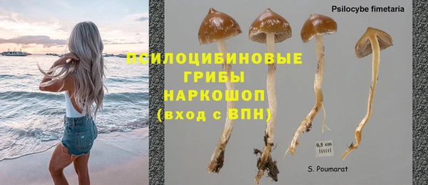дурь Тайга