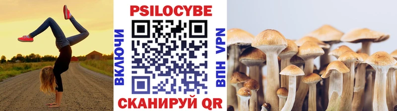 blacksprut ССЫЛКА  Ярцево  Галлюциногенные грибы ЛСД 